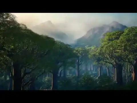 Forest Calm, Bitcoin Focus  ? LoFi for Wealthy Minds Who Move in Silence