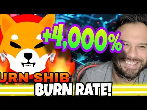 Shiba Inu Coin | SHIB Weekly Burn Rate Soars 4,000%!