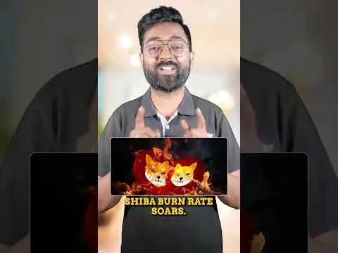 Shiba Burn Explodes  | DigitalX Bags $13.5M | Dubai Approves Tokenized Fund