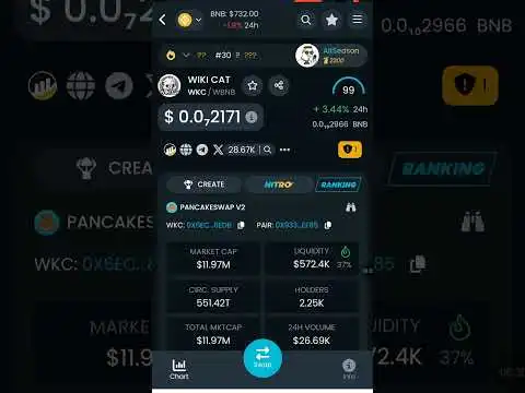 Best #memecoin to buy 2025!! WIKICAT COIN.... #altseason #crypto #bullrun #BNB