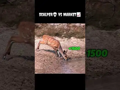 scalver VS Market #funny #howtoearnmoneyfromusstockmarket #memes #bitcoin