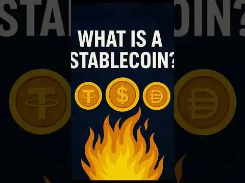Bitcoin CRASHES? but THIS Coin Stays at $1?! ?. #usa #stablecoin #sidehustle
