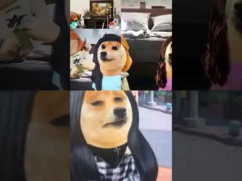 Doggy #funny #duet #memes #shibainu #pets #babydogecoinlatestupdate #xbox #gaming #games