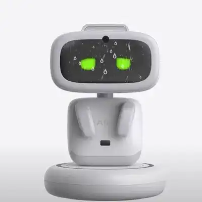 AIBI Pocket Pet