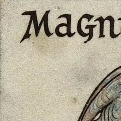 Magnus Linguae Modelum