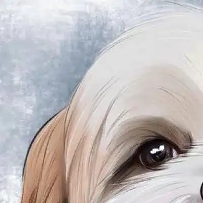 Luffy B the smiling dog
