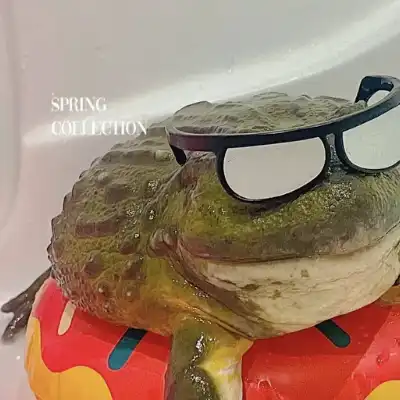 Chad the Frog
