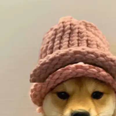 dogwifhat2.0