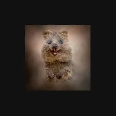 Happy quokka