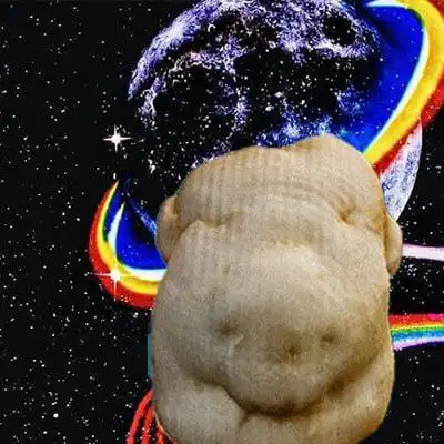 Potato Face Pig