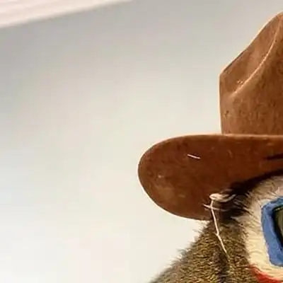 MITCH the Squirrel