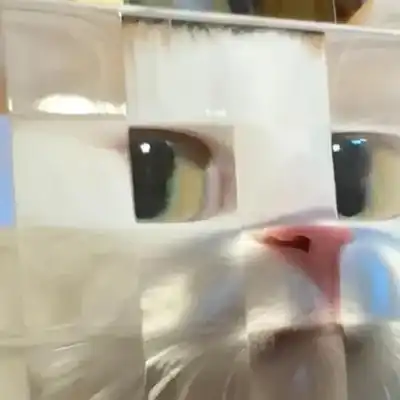 Mosaic Cat