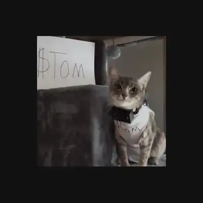 Tom The Live Cat