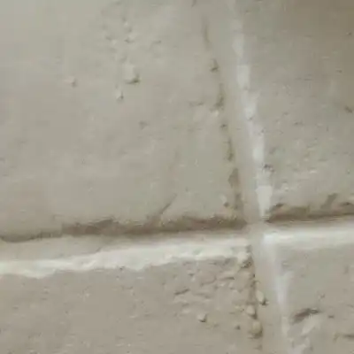 Shower Challenge Until 5 Mill