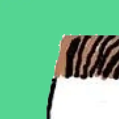 MIDCURVED