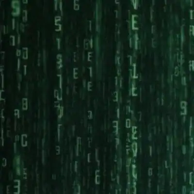 Elon Matrix