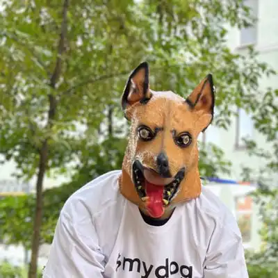 My Dog