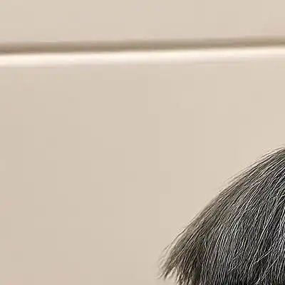 Moe