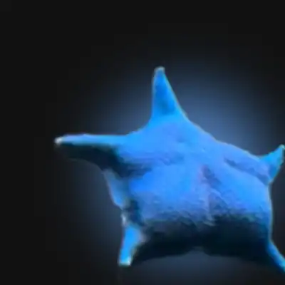 ass star