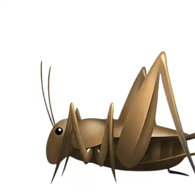 Crickets