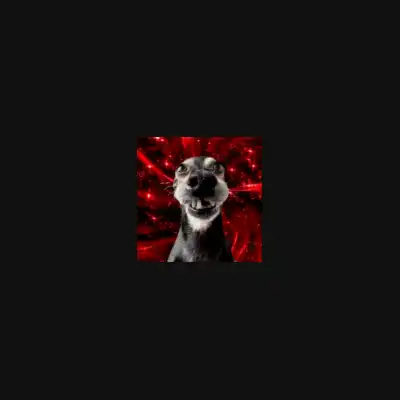 dog with autistic aura