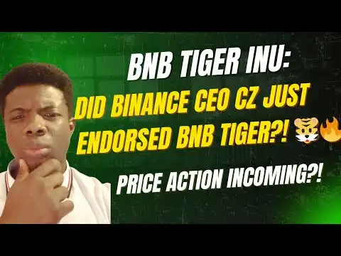  BNB TIGER INU: Did ...