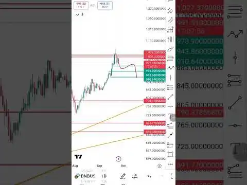 what will happen to #bnb? #binancecoin #btc