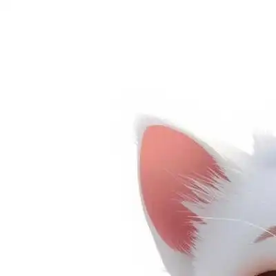 MINI CAT