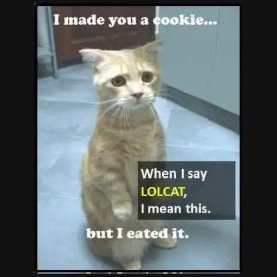 LOLcat