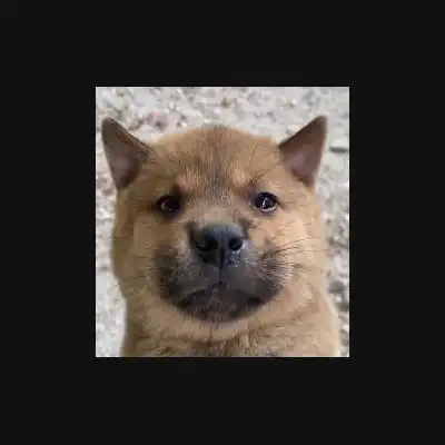 hiro
