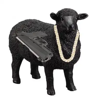 the black sheep