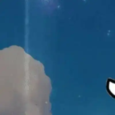 Cargi