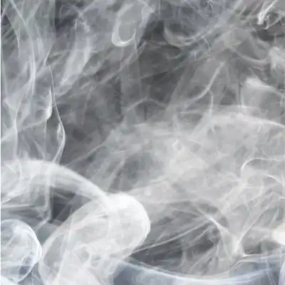 HUMO