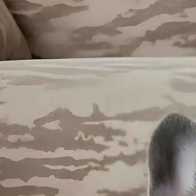 Milo