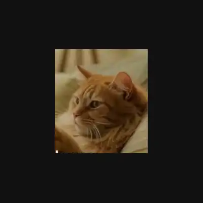 Telecat