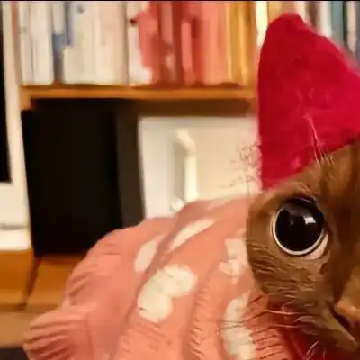 BIGEYE ACT