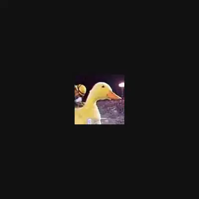 Duck Danana