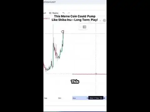 Is This the Next Shiba Inu? Insights on a Potential Million-Dollar Meme Coin!